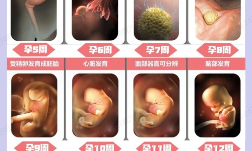 新生儿不能抱太多吗-新生宝宝能不能抱-专业新生宝宝能不能抱着睡觉平台-刚出生的婴儿可以抱睡吗